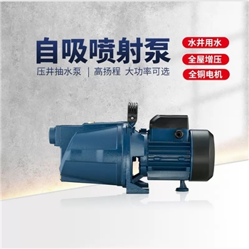大元自吸泵吸水器增压泵压水井水抽水泵压力泵JET220V喷射泵