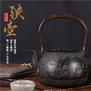 虫趣铁壶铸铁泡茶专用烧水壶电陶炉煮茶器铁茶壶煮水壶